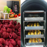 High Quality Fruit Vacuum Freeze Drying Machine