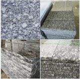 Cheap/Natural White Wave Granite for Floor Tile/Wall Cladding