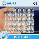 CE Cube Plant for Cooling Water and Drinks 10 Tons/Day