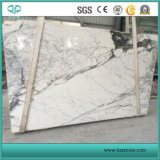 Beautiful & Good Quality Top Quality Calacata White Marble Slab