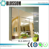 Customized Size Square Decorative Wall Mirror for Living Room