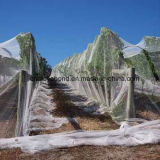 Leno-Weaving HDPE Monofilament Anti Hail Net