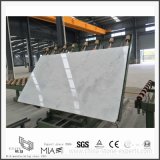 Arabescato Venato Marble Slab for Countertop, Tiles