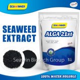 Natural Organic Seaweed Extract Powder