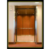 Low Noise Passenger Elevator for Luxury