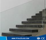 Clear Tempered Building Glass/Toughened Laminated Glass/Tinted Float Glass