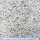 Cheap Natural Light Gray Granite G603 with Sesame Light Color