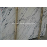 Natural Stone White Arabescato Vagli Marble Building Material