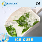 Professional Manufacturer Suppliers of Square Cube Ice Machine for Sale with Cheap Price