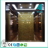 Passenger Elevator for Luxury