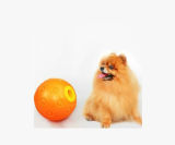 2017 New Design OEM Pet Tennis Ball