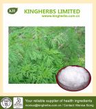 Artemisinin 98% Powder Artemisia Annua Extract Antimalarial