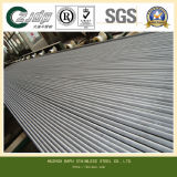 Small Diameter Seamless Stainless Steel Tube (300 SERIES)