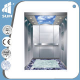 Luxury Decoration Home Elevator of Capacity 250kg