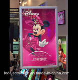 Poster Frame with Double Side Aluminum Frame Ceiling Hanging Slim LED Light Box