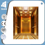 Speed 1.0m/S with All Material 304 Stainless Steel Passenger Elevator