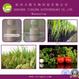 Good Quality Insecticide Monosultap (90%TC, 95%TC, 98%TC, 50%SP, 80%SP, 90%SP, 5%GR)