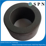 Hard Ferrite/Ceramic Sintered Multipole Ring Permanent Magnet for Micro Motor