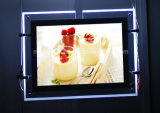 Finger Curved Open LED Backlit Acrylic Light Box for Advertising