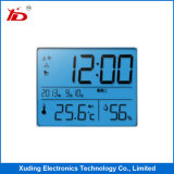 Customerized Stn Type Monochrome Small Size LCD Screen Display