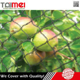 Guarantee 5 Years Quality PE Anti Brid Net