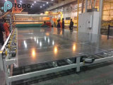 Sheet Glass Manufacturer / Float Glass/ Glass for Building (T-TP)