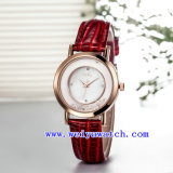 Business Watch ODM Fashion Woman Watch (WY-036C)