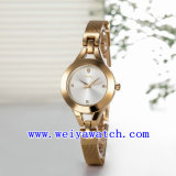 Promotion Watch Alloy Casual Wrist Watches (WY-021F)