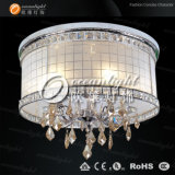 Modern Glass Chandelier Crystal Lighting Om937