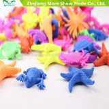 Hot Fashion Marine Animals Growing Toys Starfish Fish Tortoise Ocean Animals Growing Toys