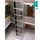 Luxury Home Elevator with Competitive Price