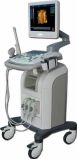 3D Optional Trolley Digital Ultrasound Scanner (Color LCD Screen or B/W CRT Screen) (MCB-SS-500)