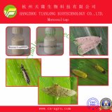 Highly Effective Insecticide Monosultap (90%TC, 95%TC, 98%TC, 50%SP, 80%SP, 90%SP, 5%GR)