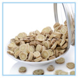 Manufacturer Natural Astragalus Root Extract Powder